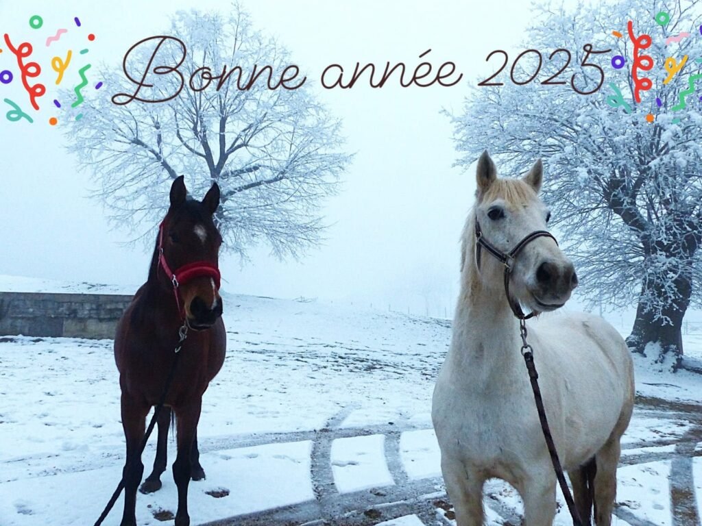 Bonne année 2025 🎉